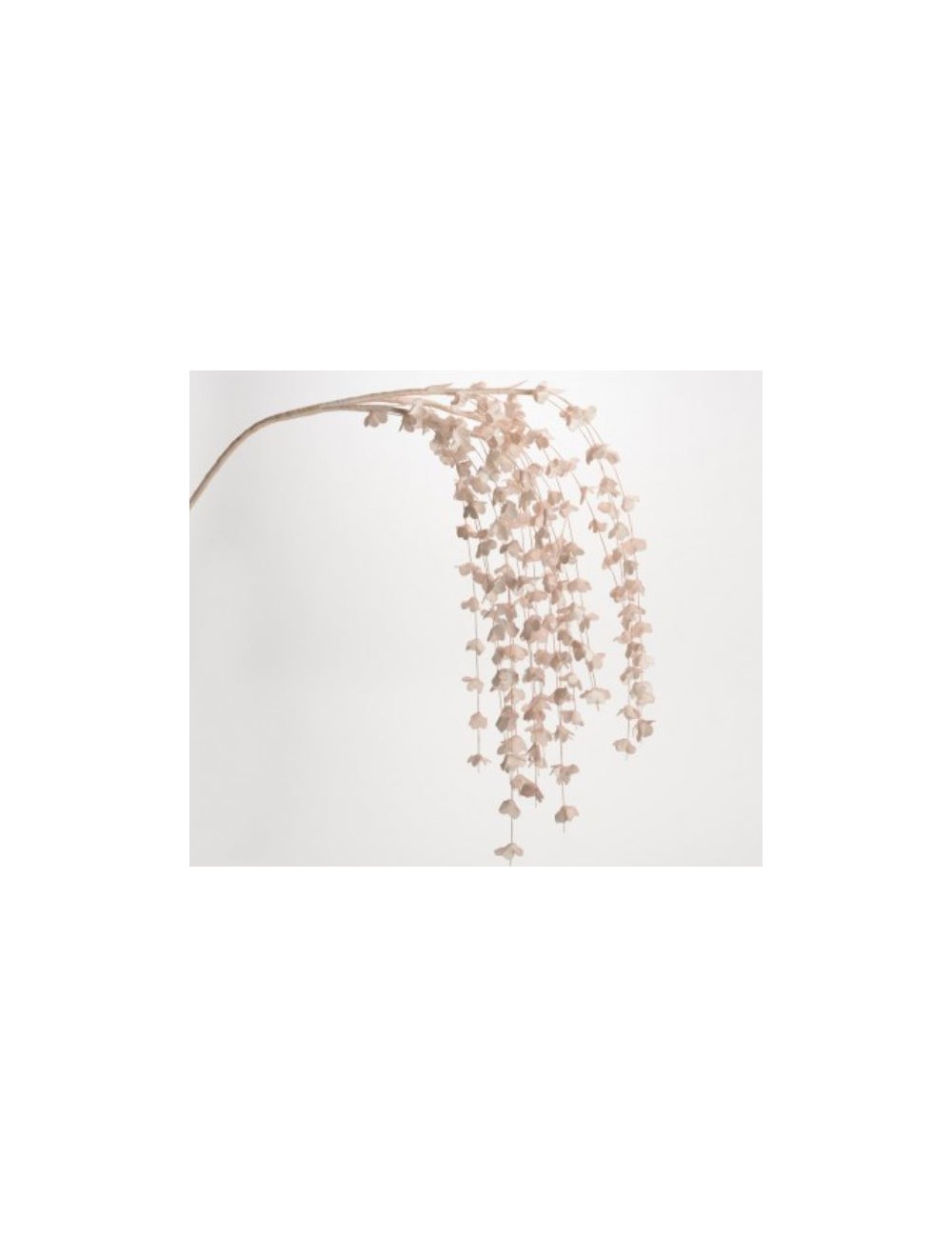 CHUTE DE FLEUR MARGA MORDORE