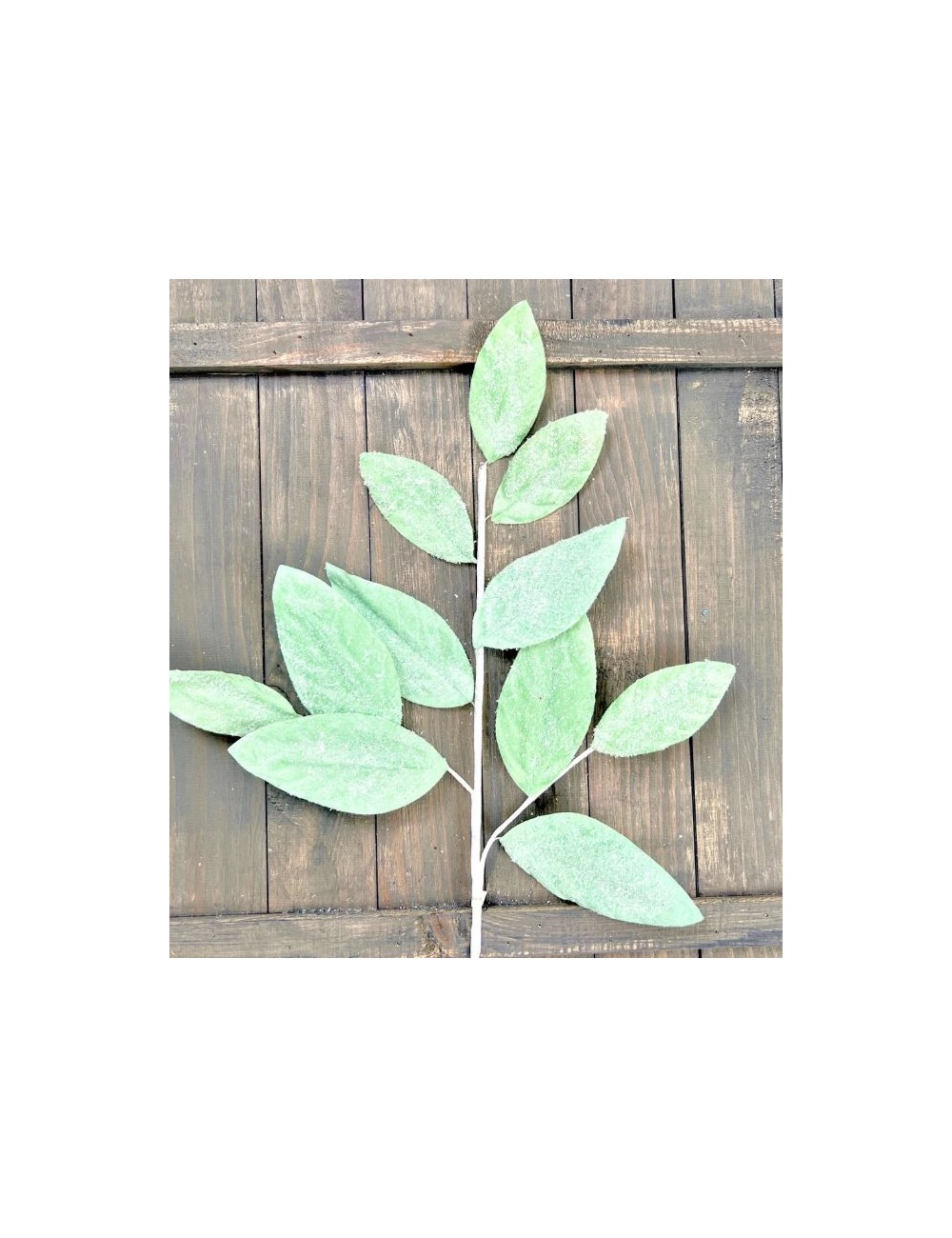 TIGE FEUILL PALMIER MENTHE