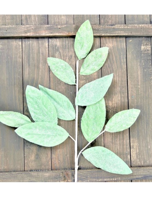 TIGE FEUILL PALMIER MENTHE 