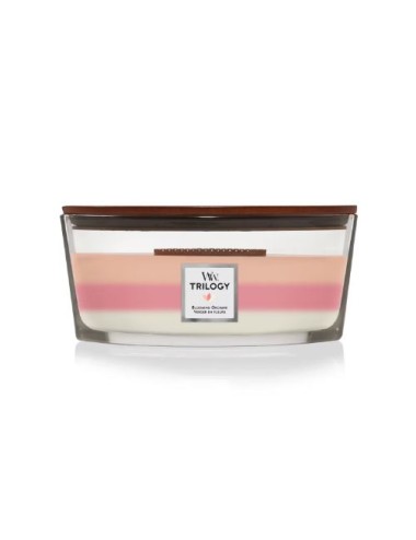 bougie moyenne jarre verger en fleurs ( fruité et agrume)