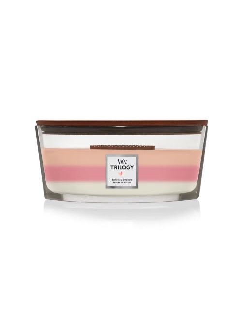 bougie moyenne jarre verger en fleurs ( fruité et agrume)