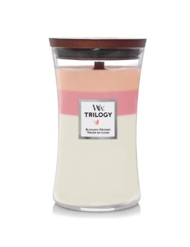 bougie grande jarre verger en fleurs ( fruité et agrume)