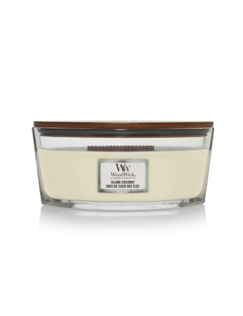 bougie elipse noix de coco des îles (ananas et noix de coco)