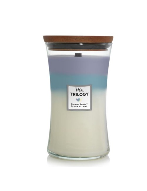 bougie grand modèle séjour calme (floraux, agrume)