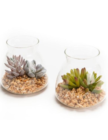 CACTUS ROCK POTVERRE 2AS