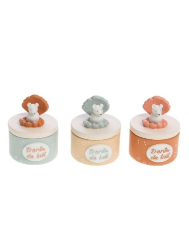 BOITE A DENT COQUILLAGE 3ASS