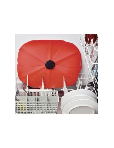 COQUELICOT RECT COUV 35X25