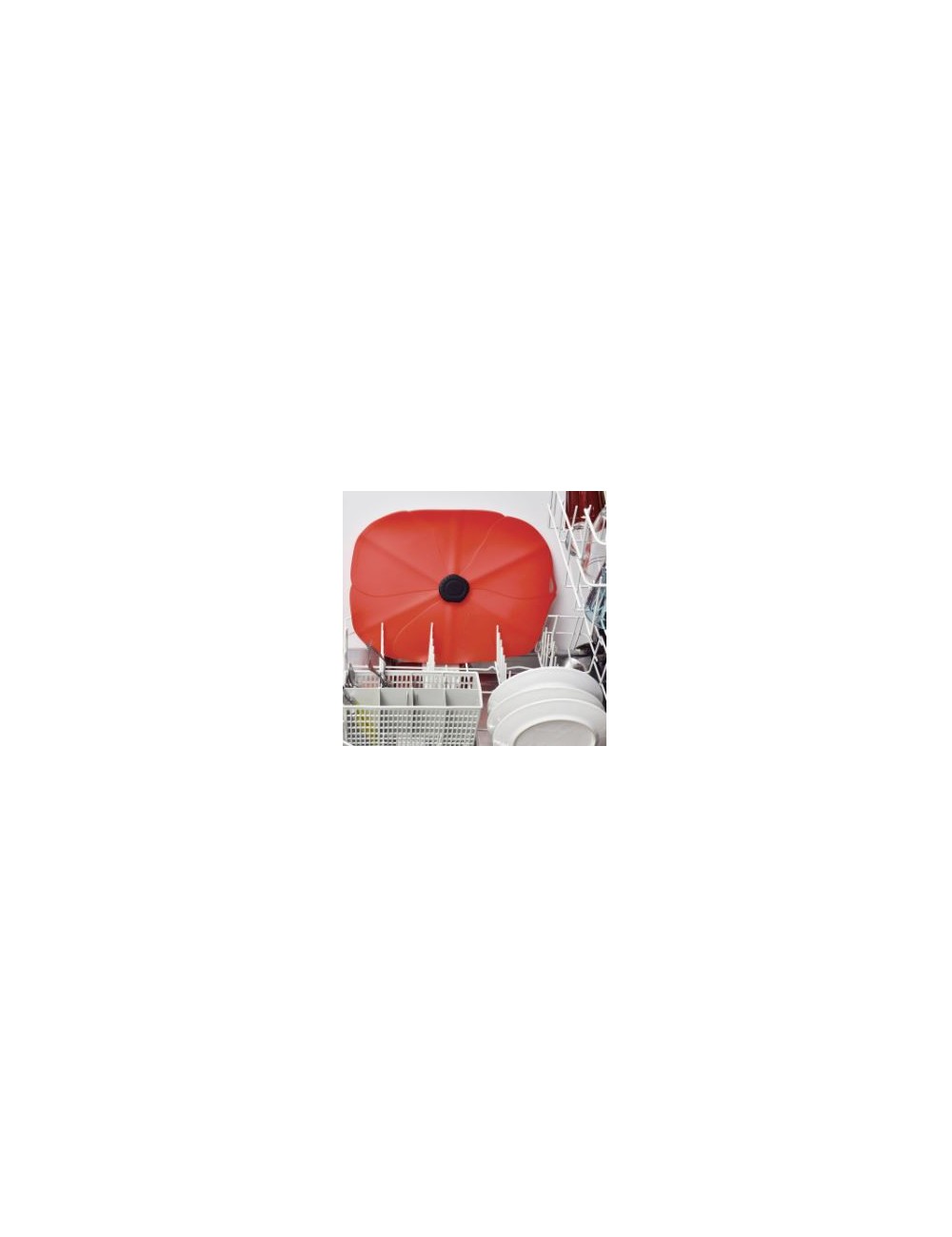 COQUELICOT RECT COUV 35X25