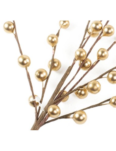 BAIES ANGELIQUE H79 OR