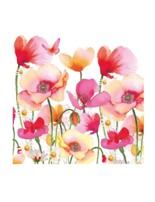SVT AQUARELL POPPIES