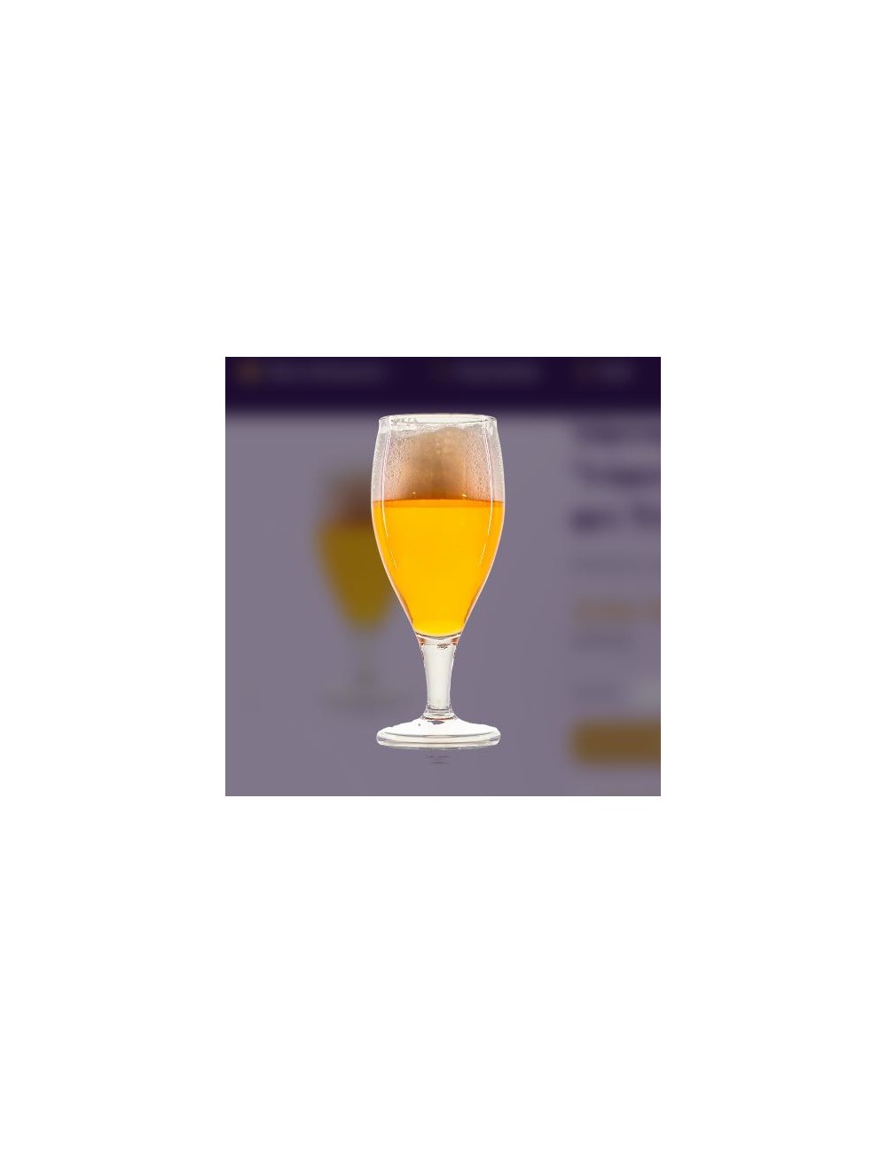 VERRE A BIERE HERMES TRITAN 38CL