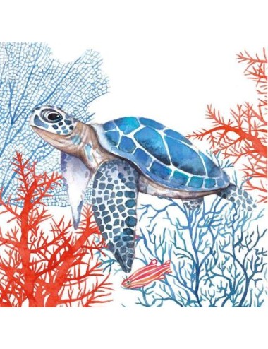 SVT THE TURTTLE