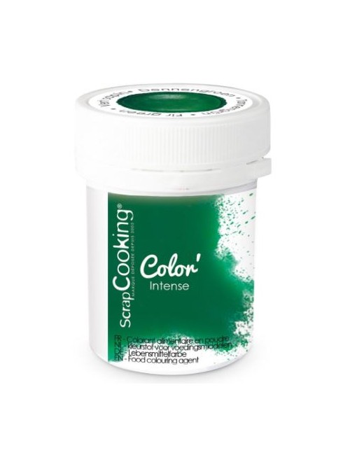 COLORANT ART EN POUDRE VERT SAPIN 5G